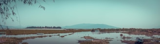 A serene lakeside view with fishing boats and lush greenery in the background.