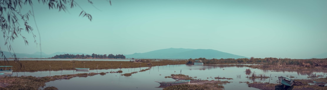 A serene lakeside view with fishing boats and lush greenery in the background.