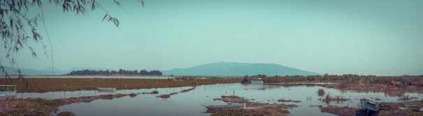 A serene view of Lake Victoria's calm waters with fishing boats near the Ugandan shore.