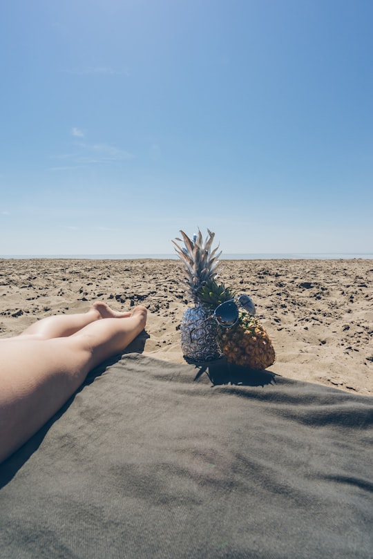two pineapple near barefooted person on brown field in Port Stanley Canada