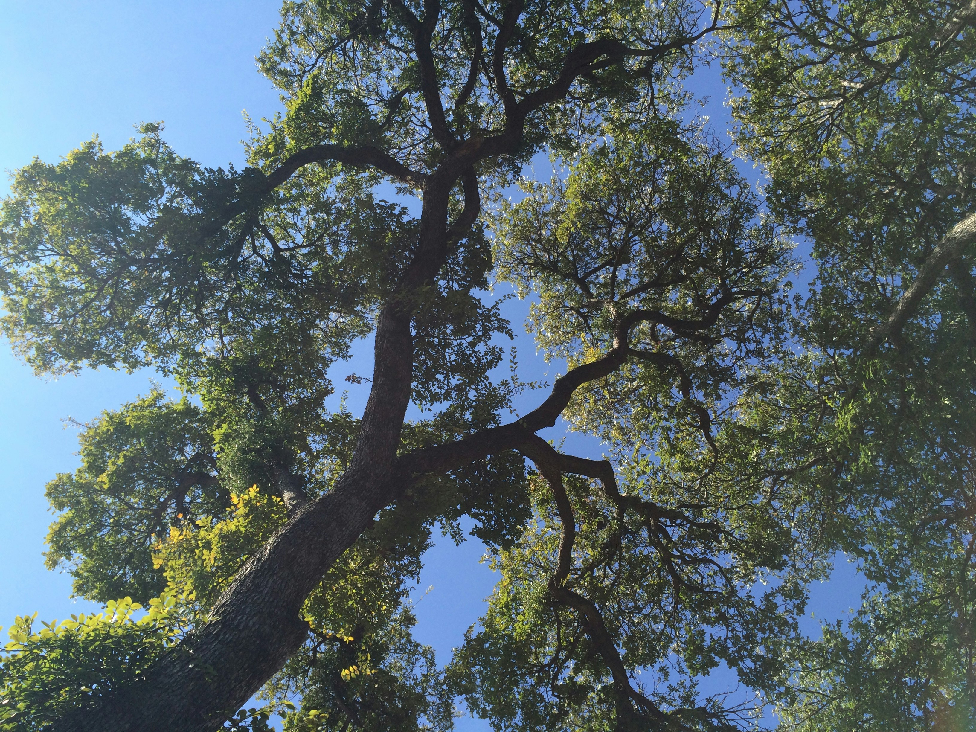 Free Unsplash photo from gotafli