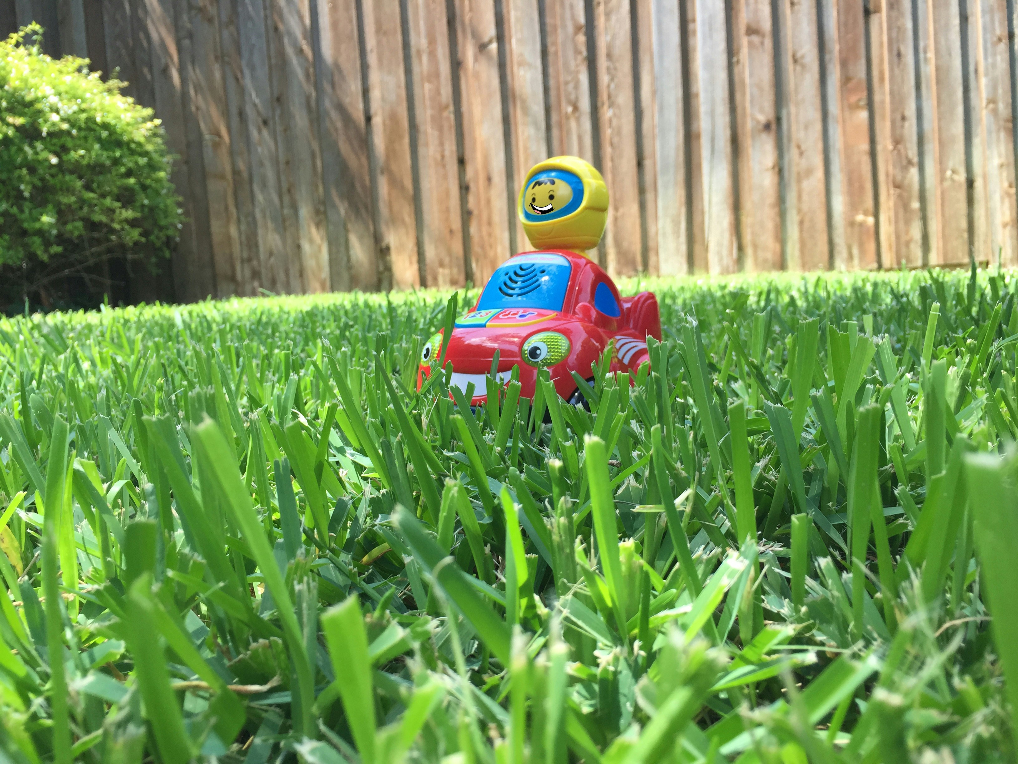 Free Unsplash photo from gotafli