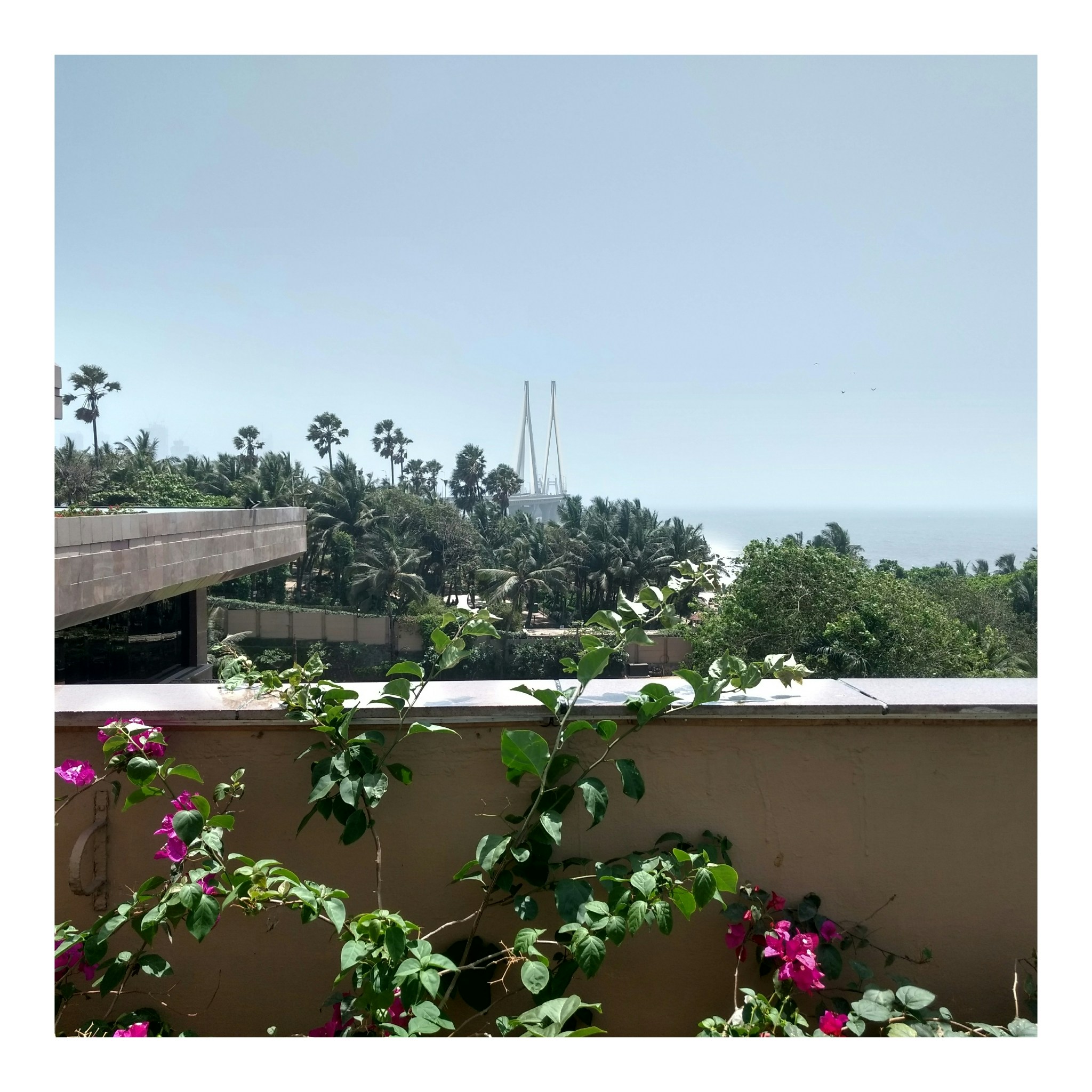 Free Unsplash photo from Atandra Ray