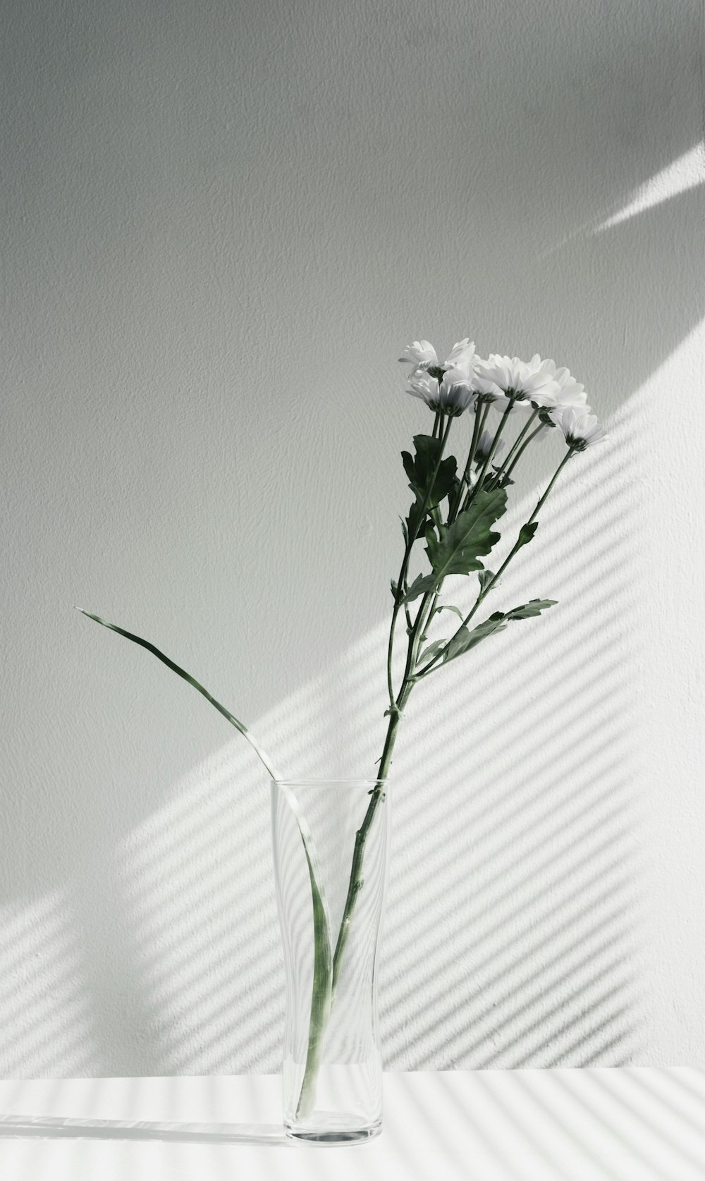 Centro de mesa de flores de pétalos blancos