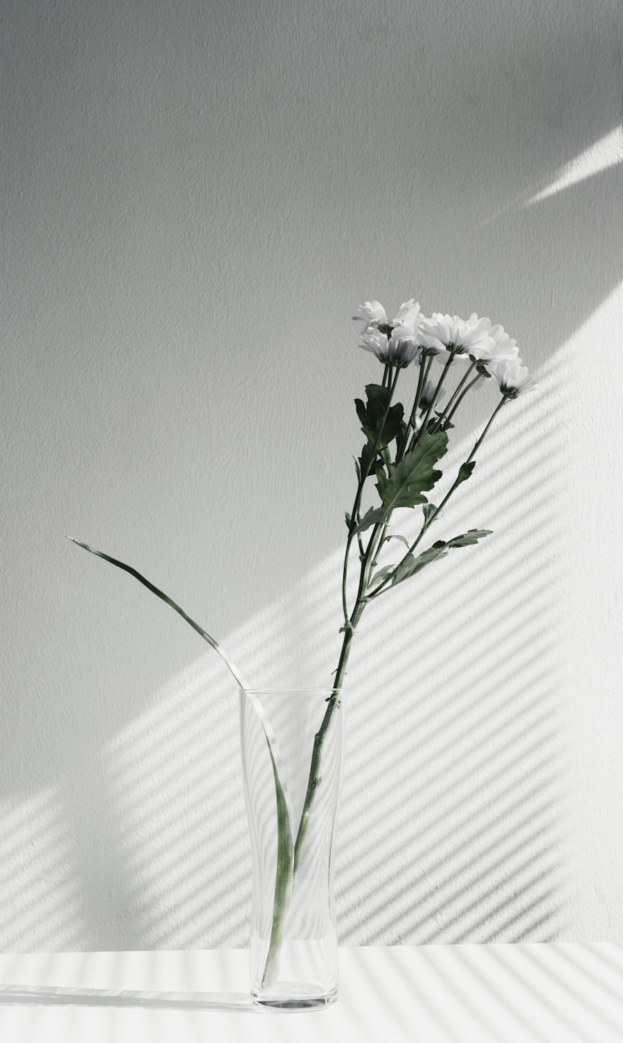 光の中の花