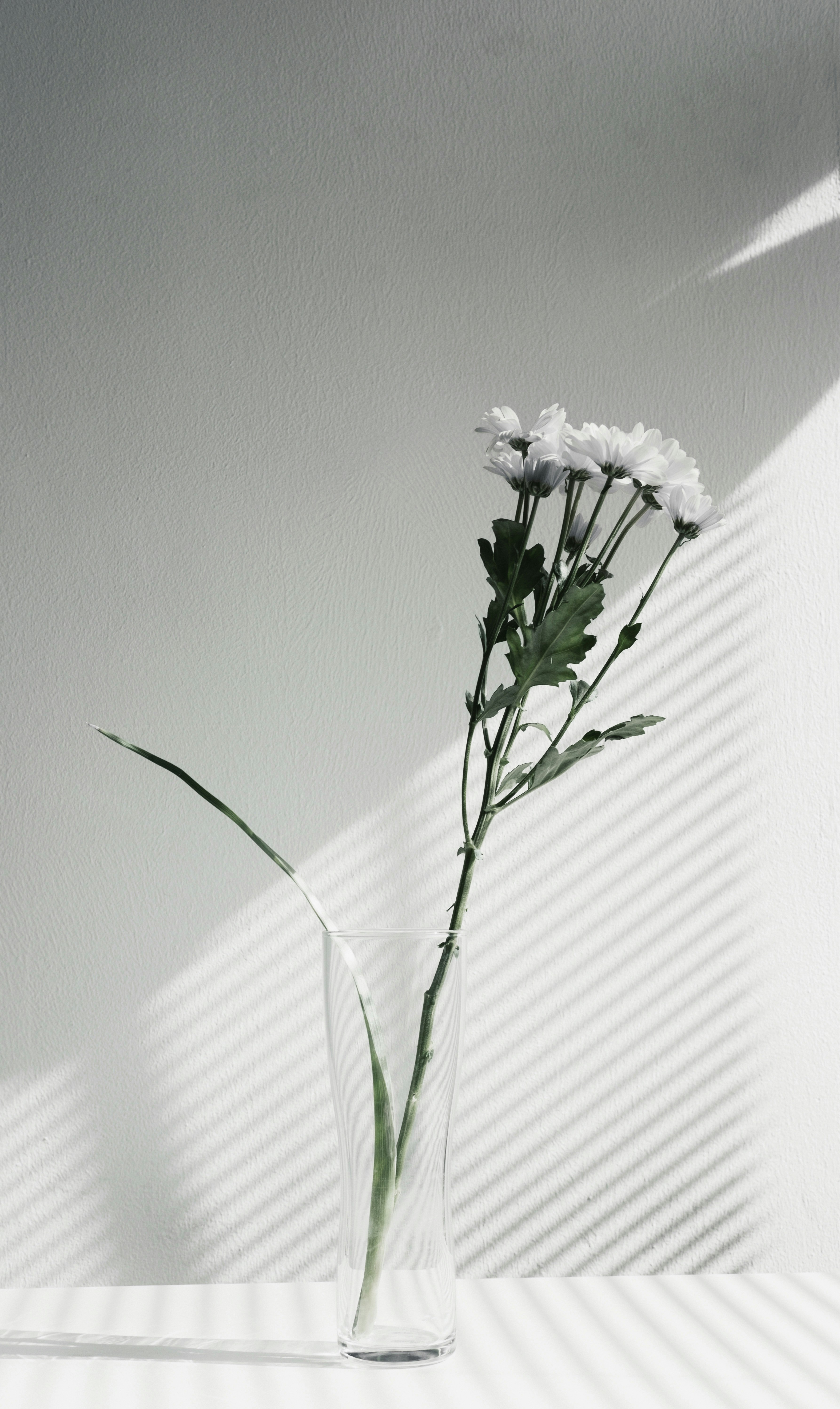 white petaled flower centerpiece