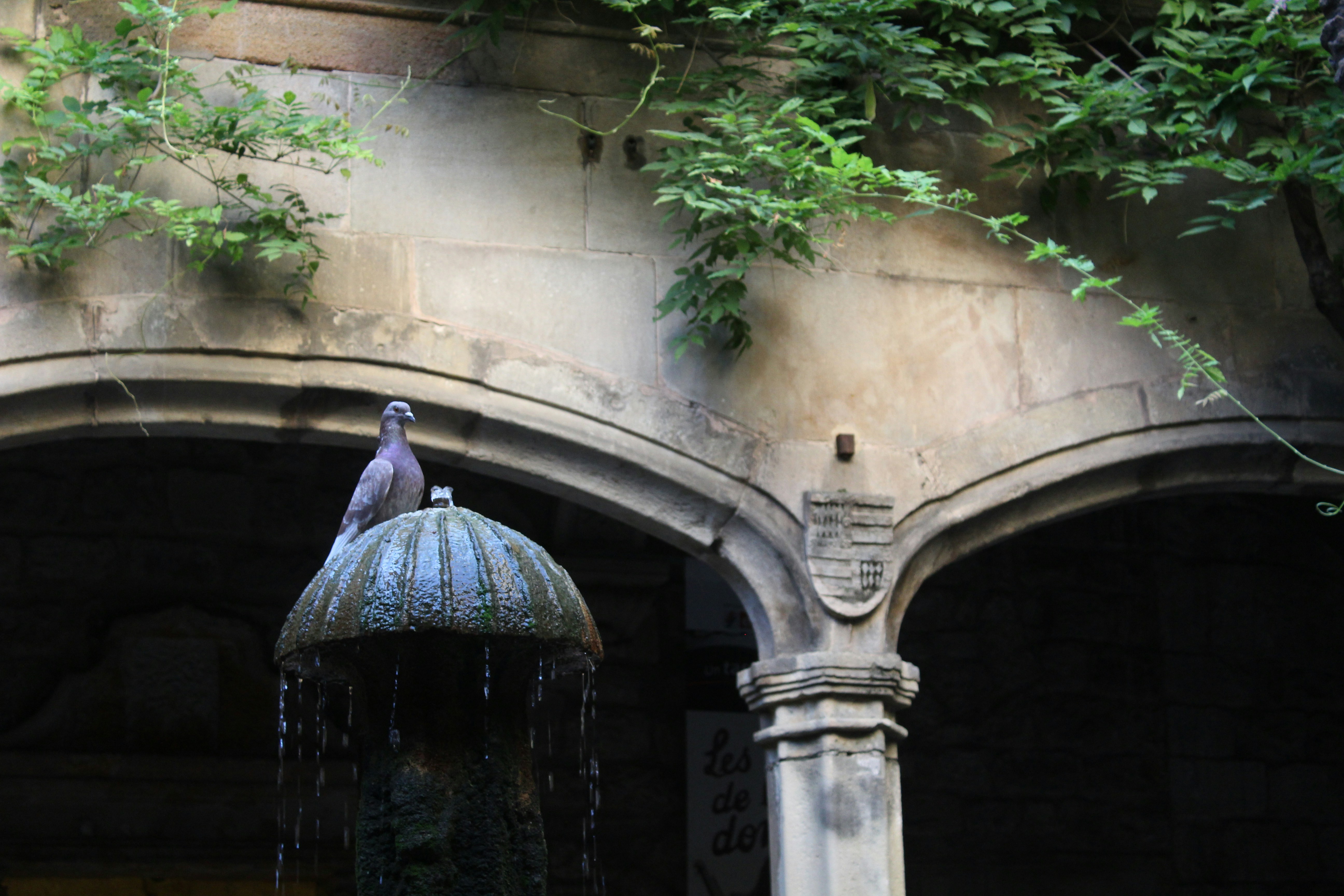 Free Unsplash photo from Elena McC