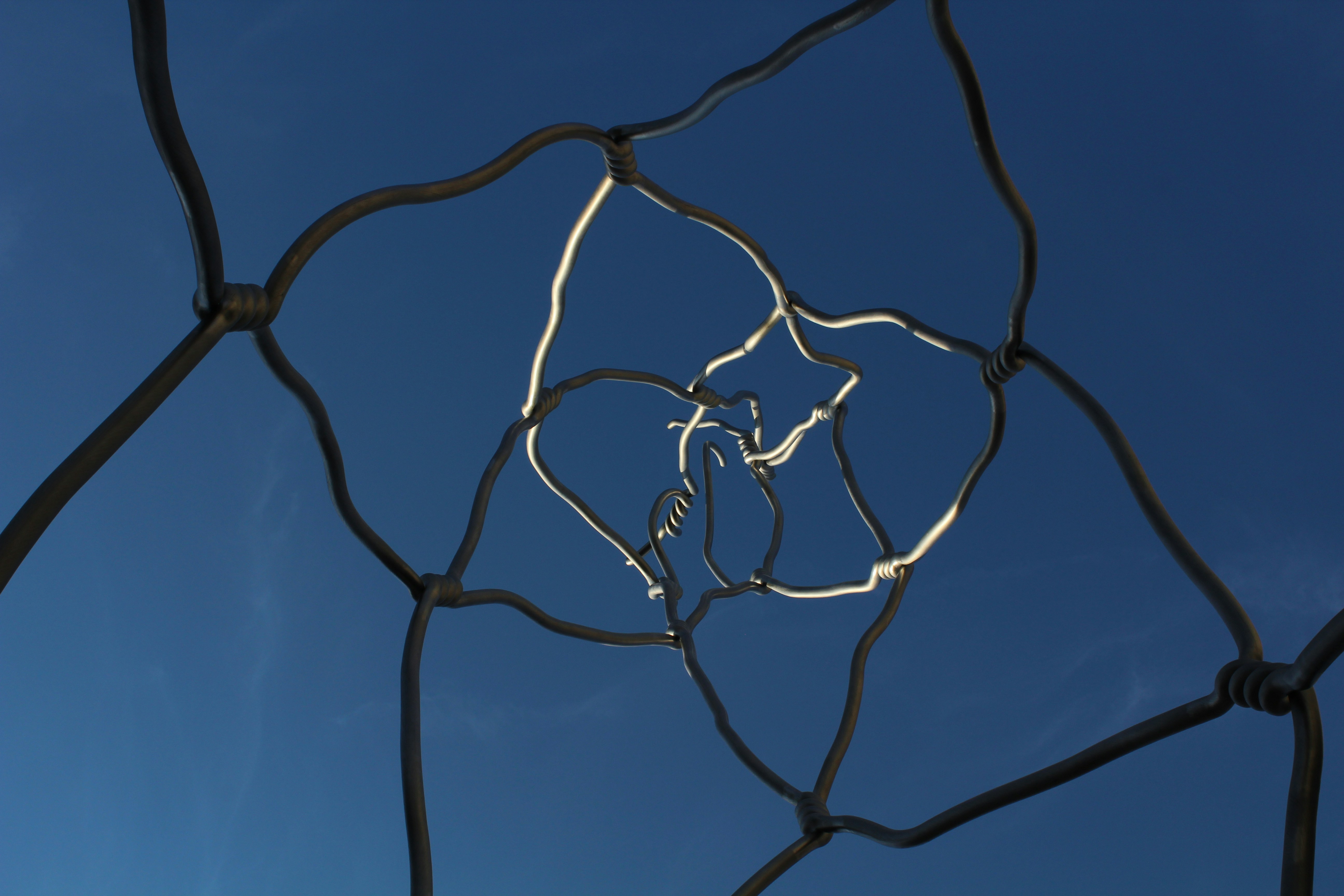 Free Unsplash photo from Elena McC