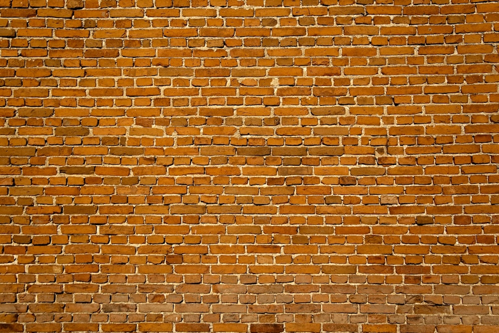 갈색 점토 벽 클래딩