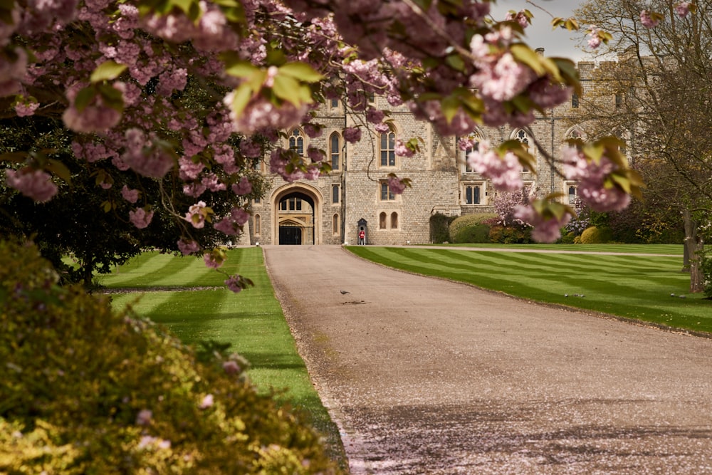 empty pathway to castle