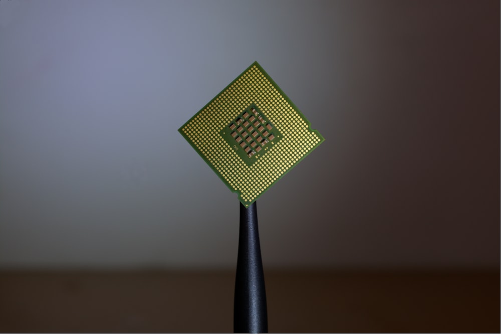 Computer programmer's single microchip