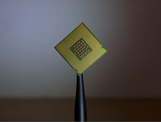 person holding computer cell processor