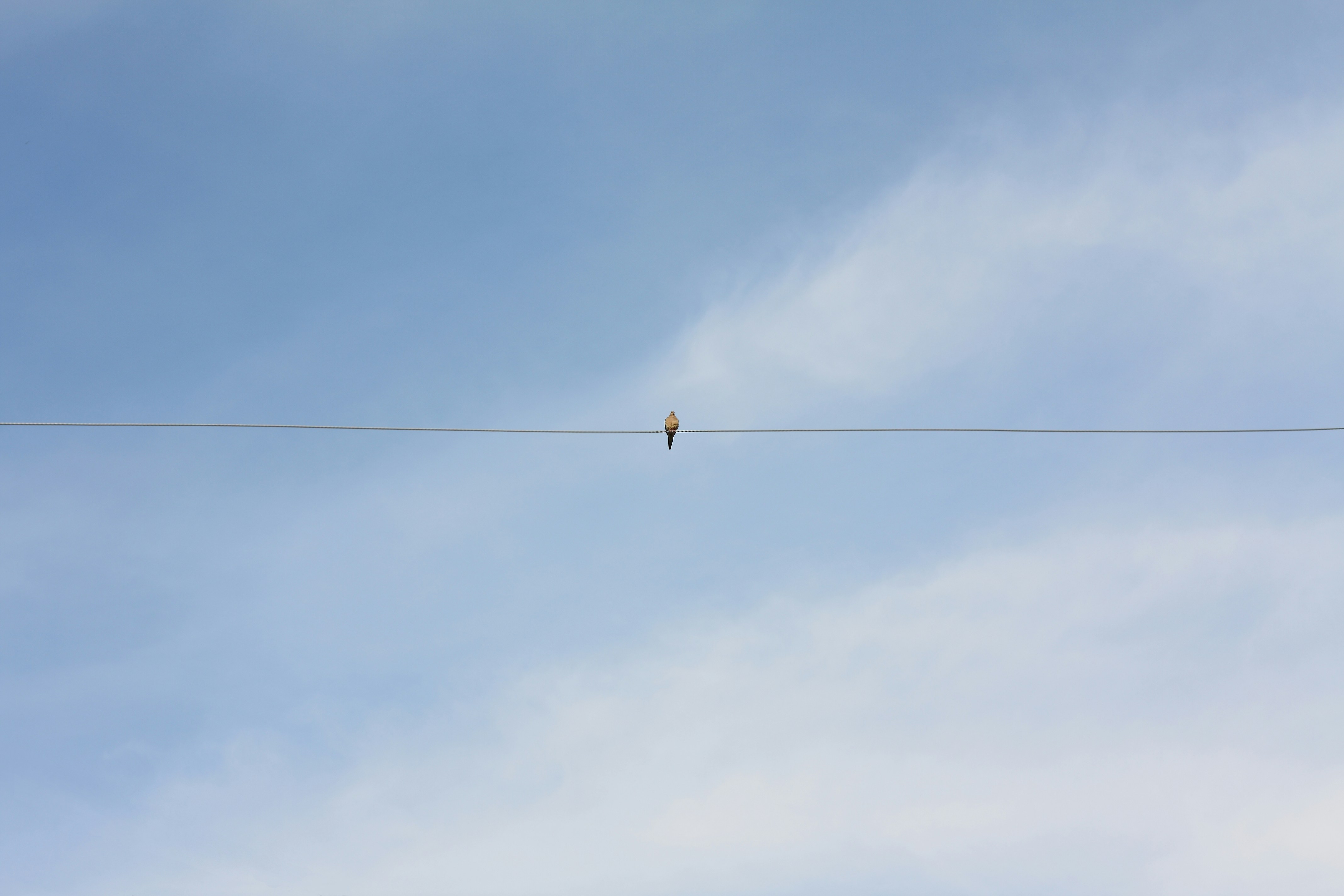 Free Unsplash photo from Brian Kostiuk