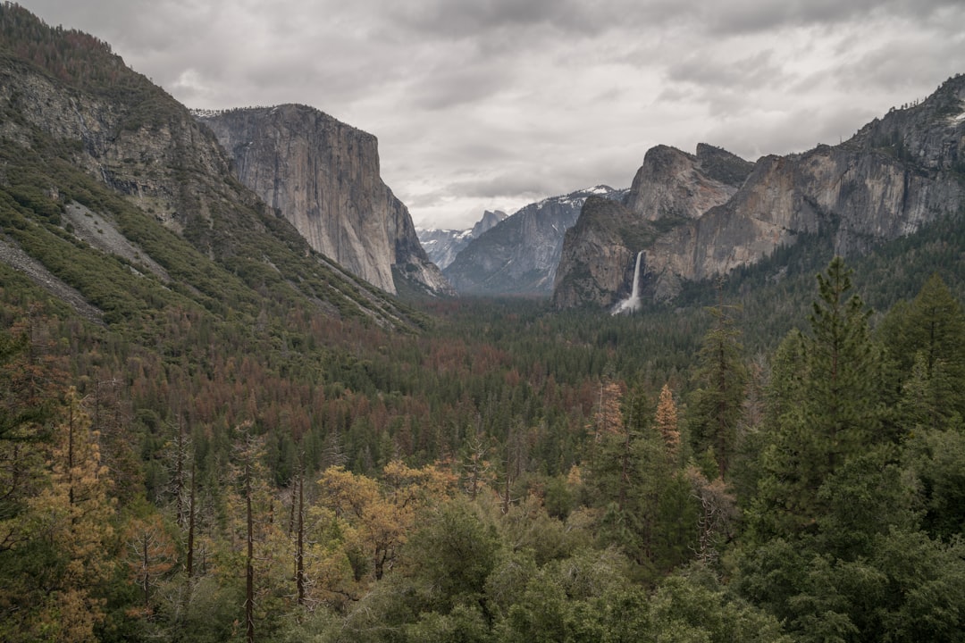 Nature reserve photo spot Yosemite National Park United States
