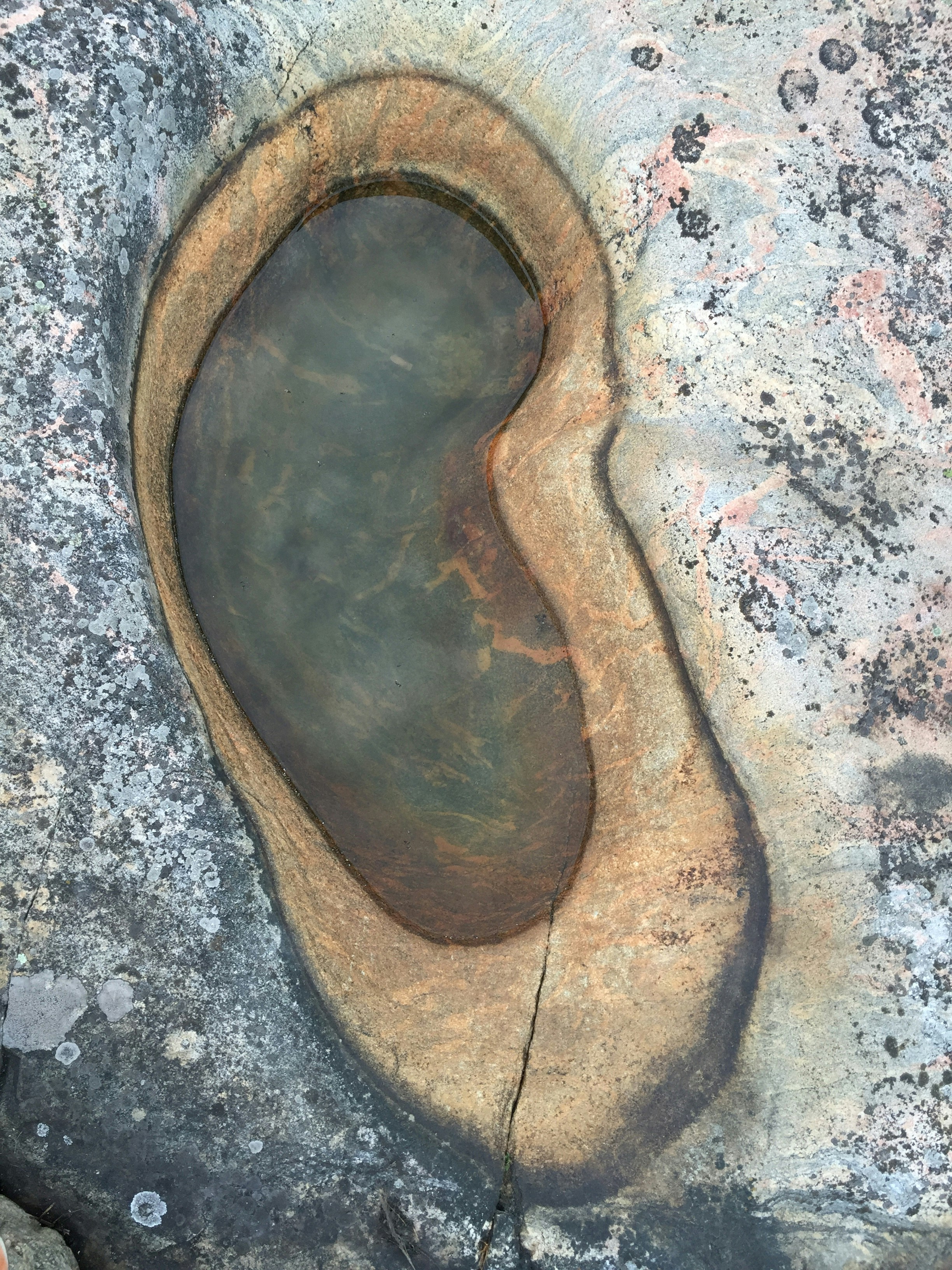 Free Unsplash photo from Patrik Baelter