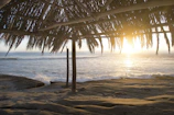 Wide shot of sandy shore and beach bungalow deck in golden afternoon light