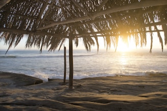 A beautiful beach villa setting at sunset.