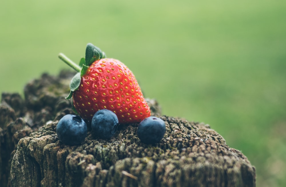 strawberry and three blueberries in closeup photography