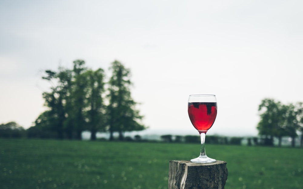 나무 줄기에 와인 잔의 선택적 초점 사진