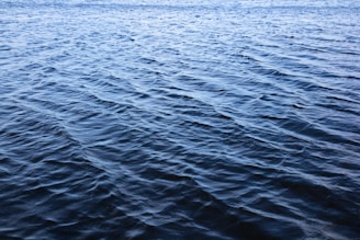 A sleek, translucent water can glowing softly in aqua and navy shades, set against a backdrop of gentle rippling waves.