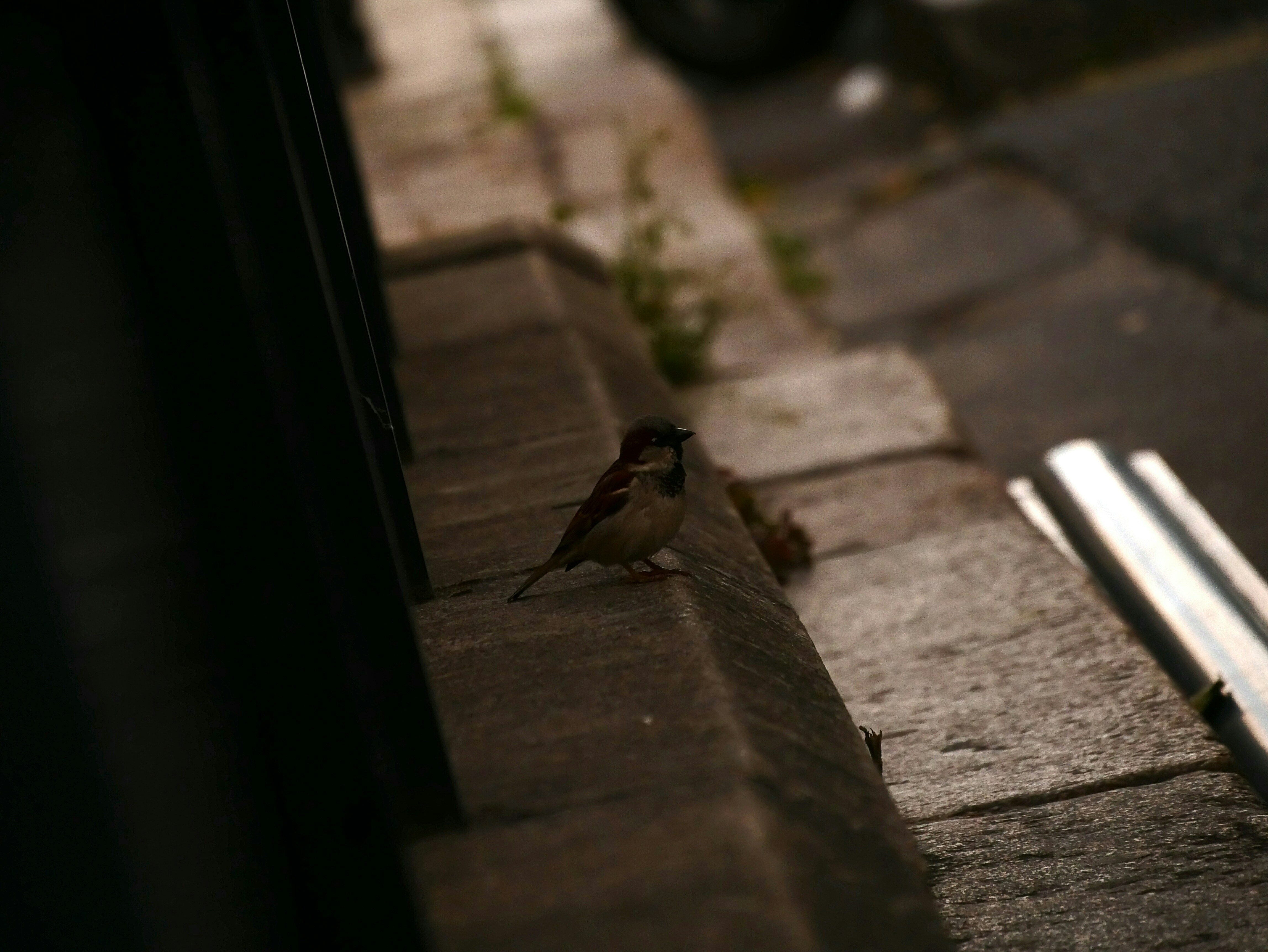 Free Unsplash photo from Wenceslas Lejeune