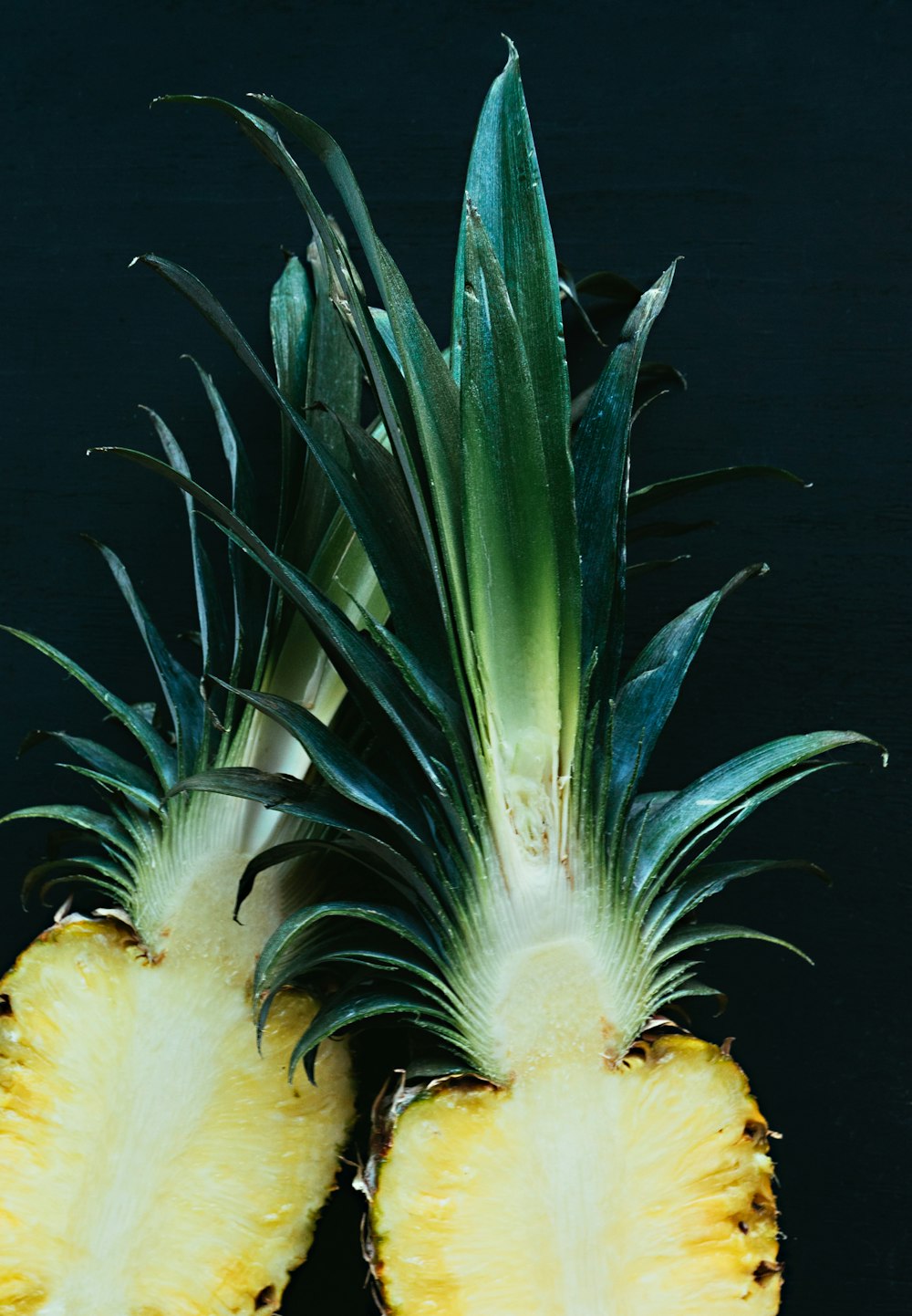 pineapple slices with crown