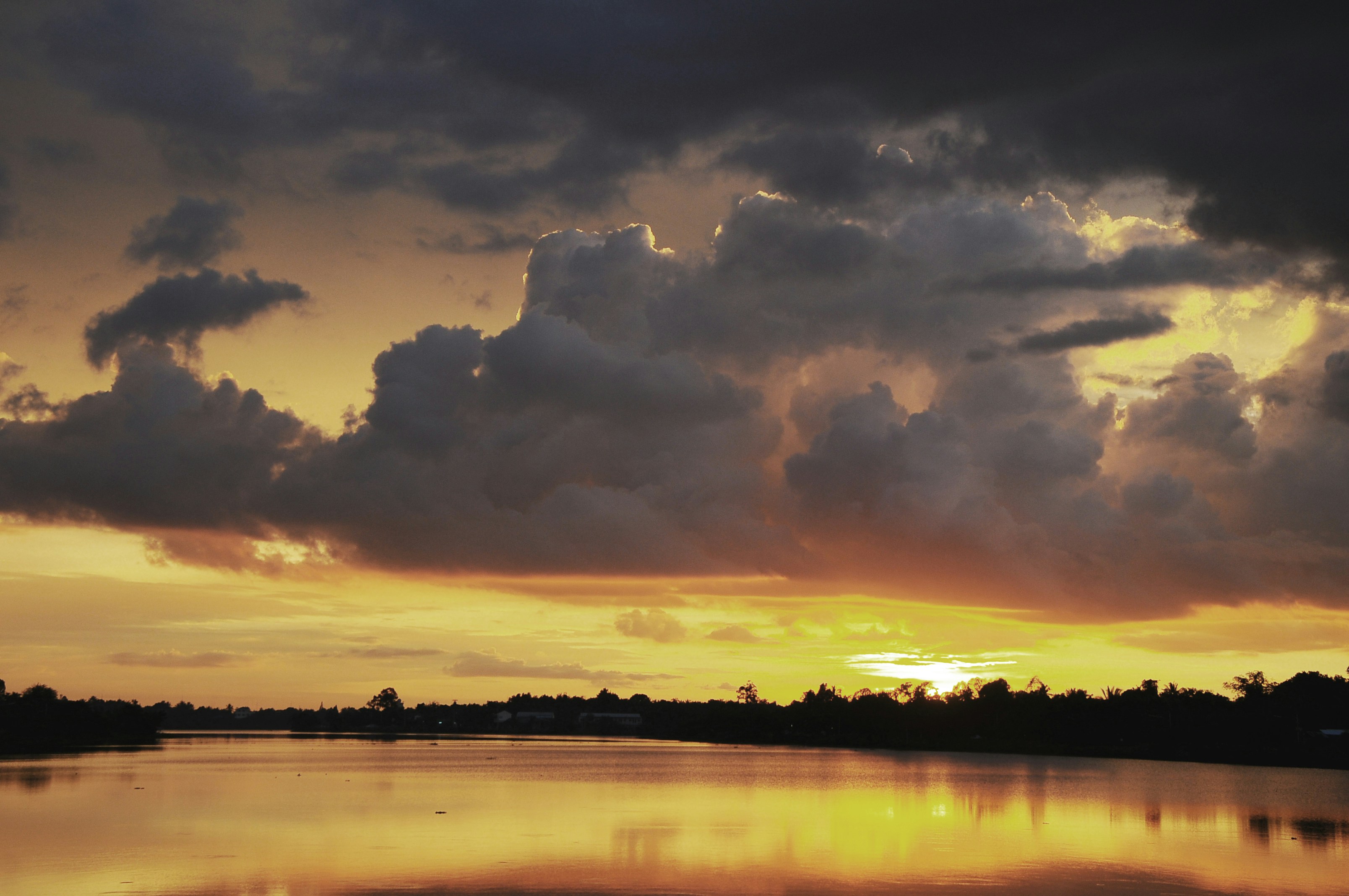 Free Unsplash photo from Gorillaz_Nui nui