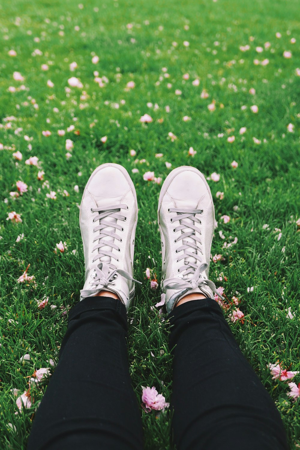 person laying on grass