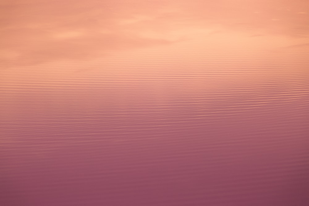 Un grande specchio d'acqua con un cielo rosa sullo sfondo