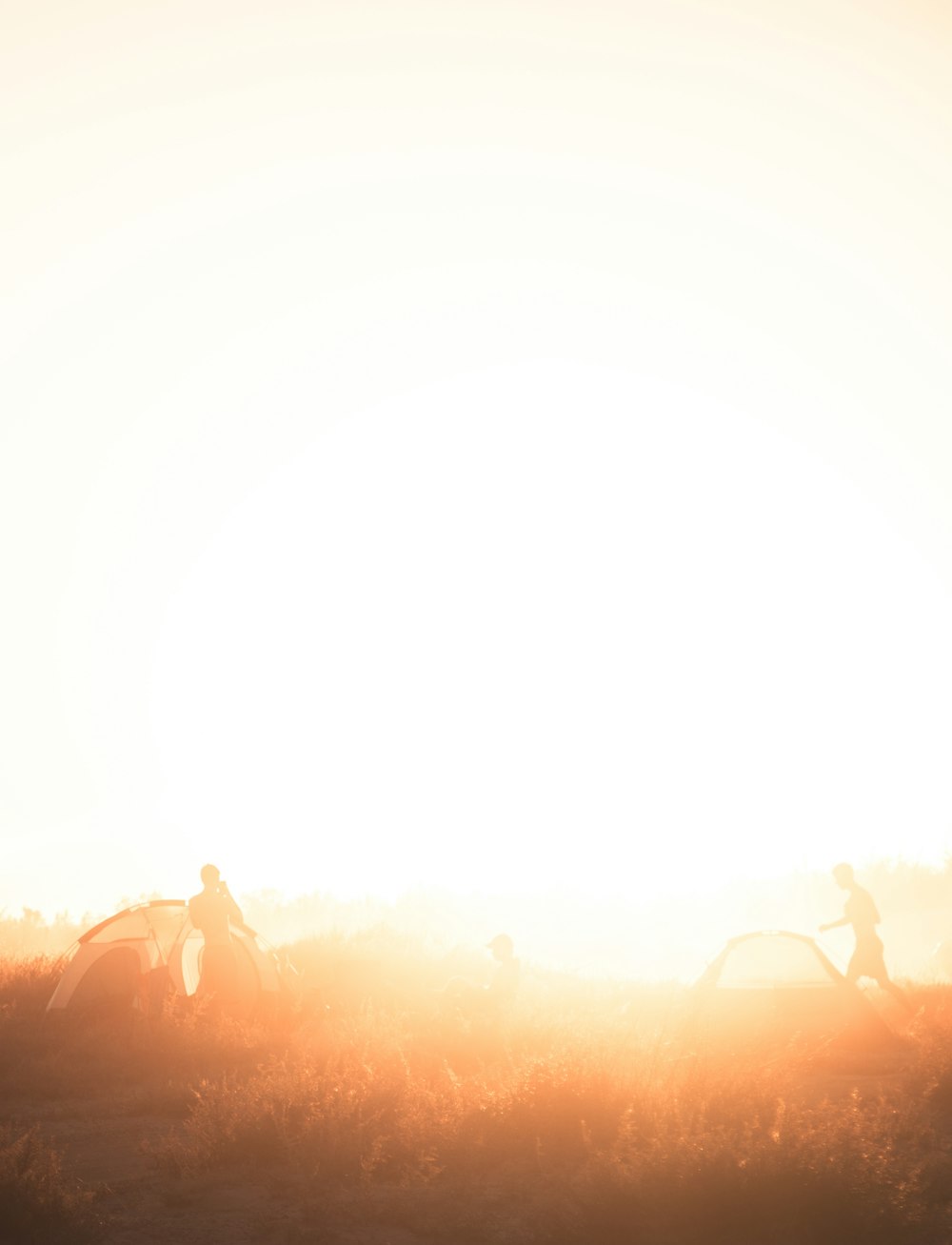 a person riding a horse in a field