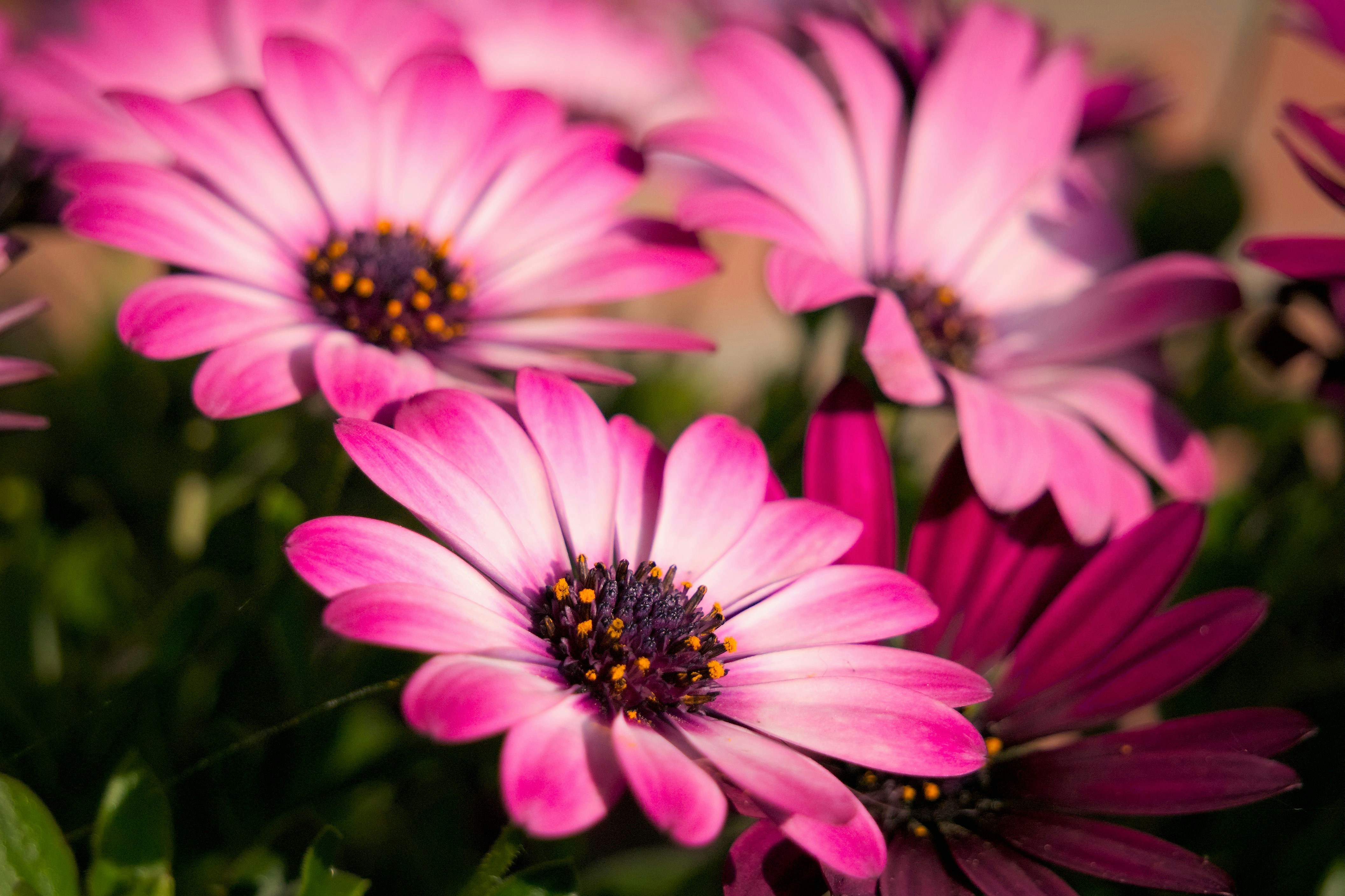 Free Unsplash photo from Harm Weustink