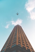 bottom view shot of airplane flying above high rise building