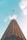 bottom view shot of airplane flying above high rise building