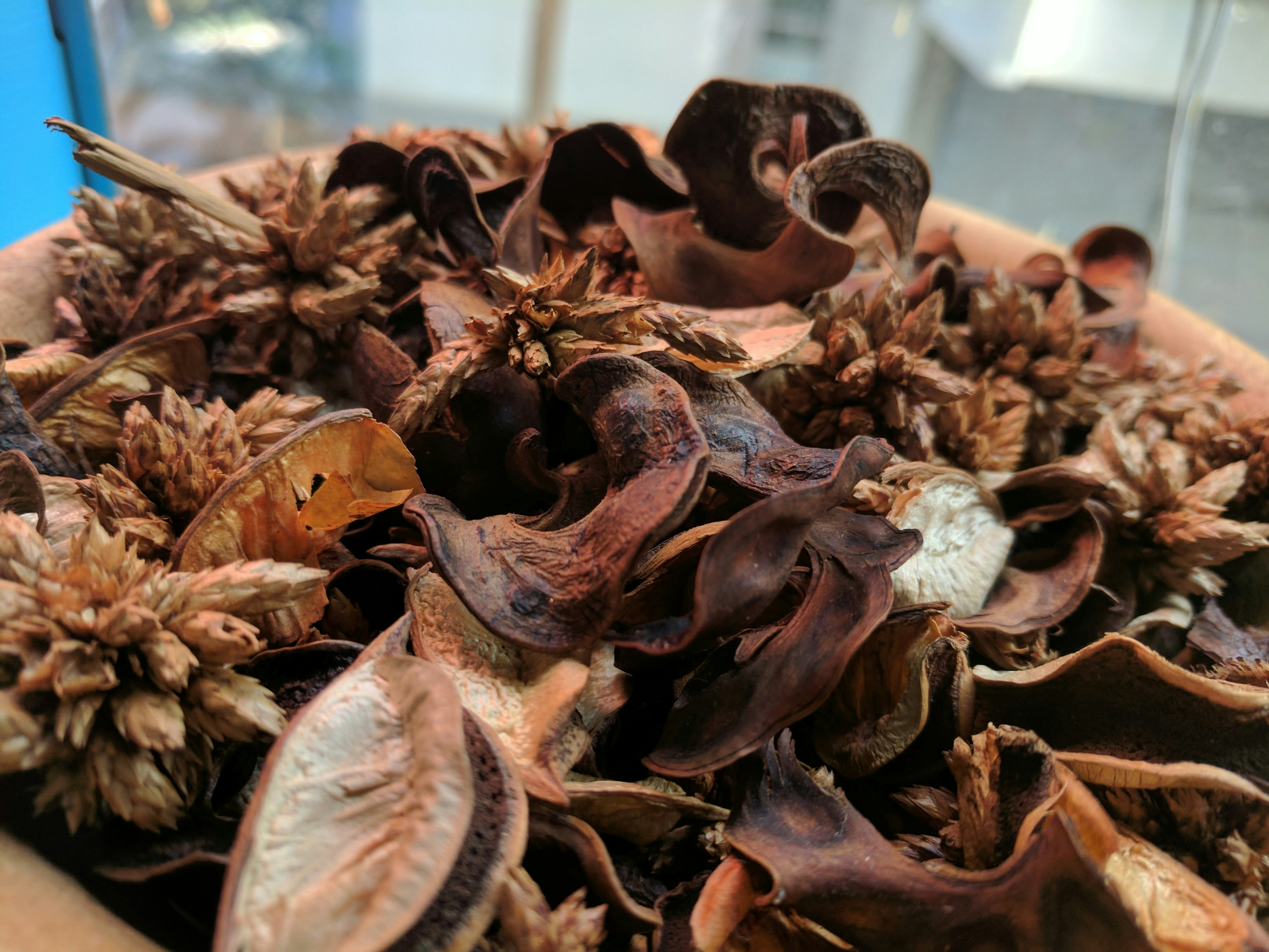 Free Unsplash photo from RAhul Das