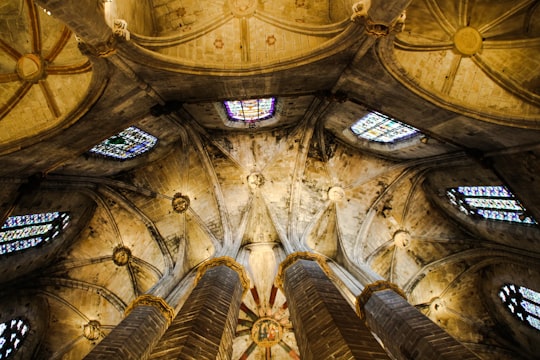 low angle photography of brown ceilings in Basilica of Santa Maria del Mar Spain