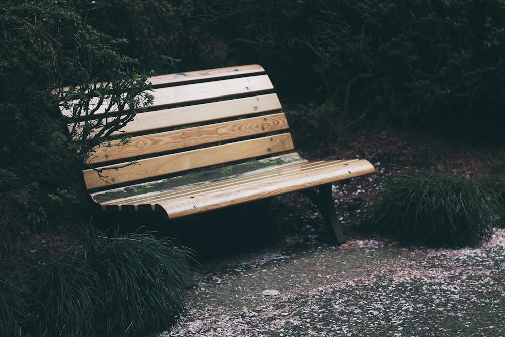 eine Holzbank, die mitten in einem Park sitzt