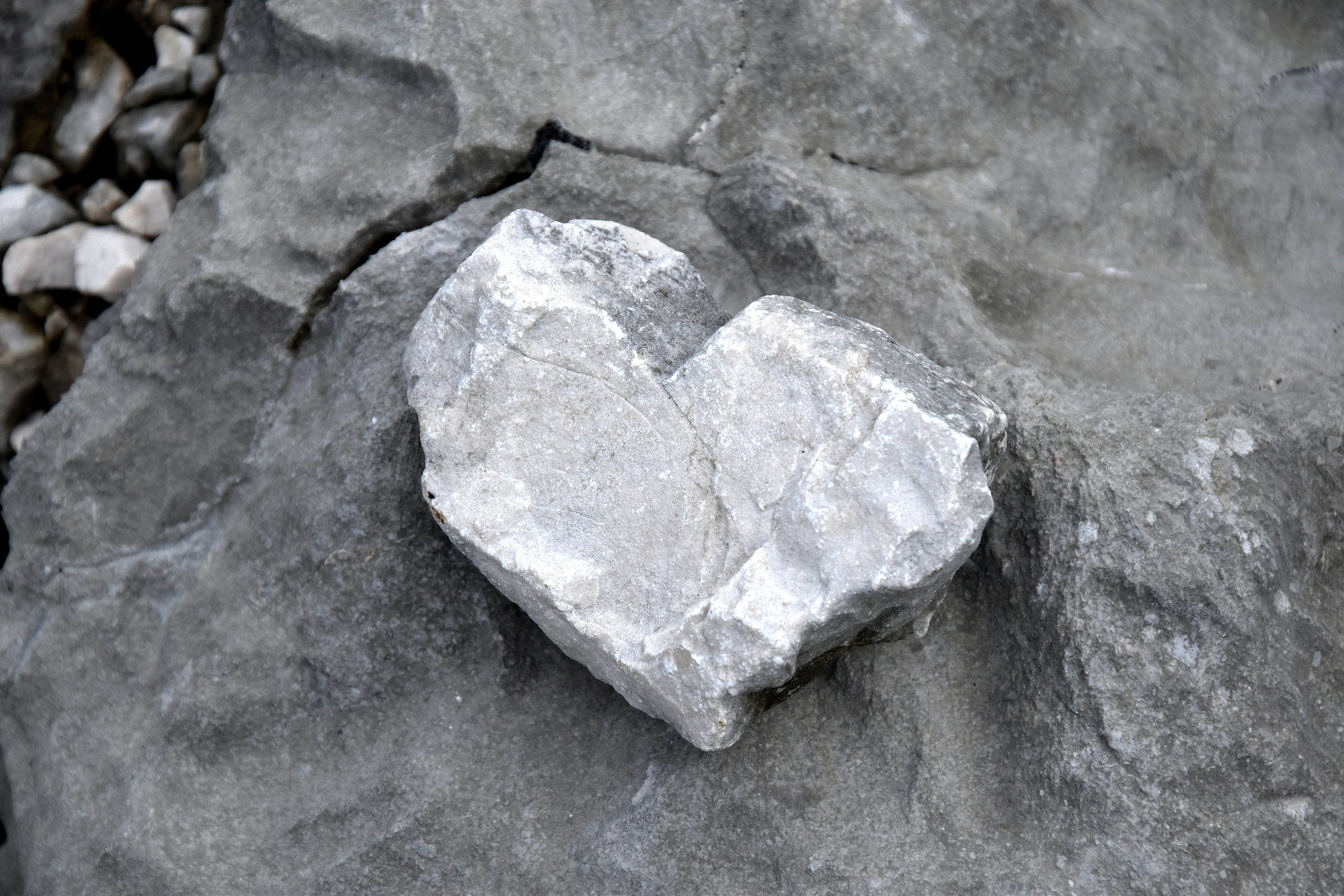 Free Unsplash photo from Medena Rosa