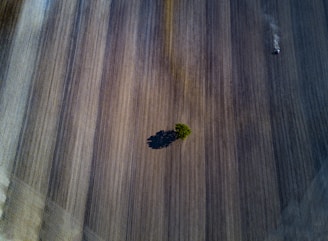 An aerial view of a carbon footprint measurement in a field.