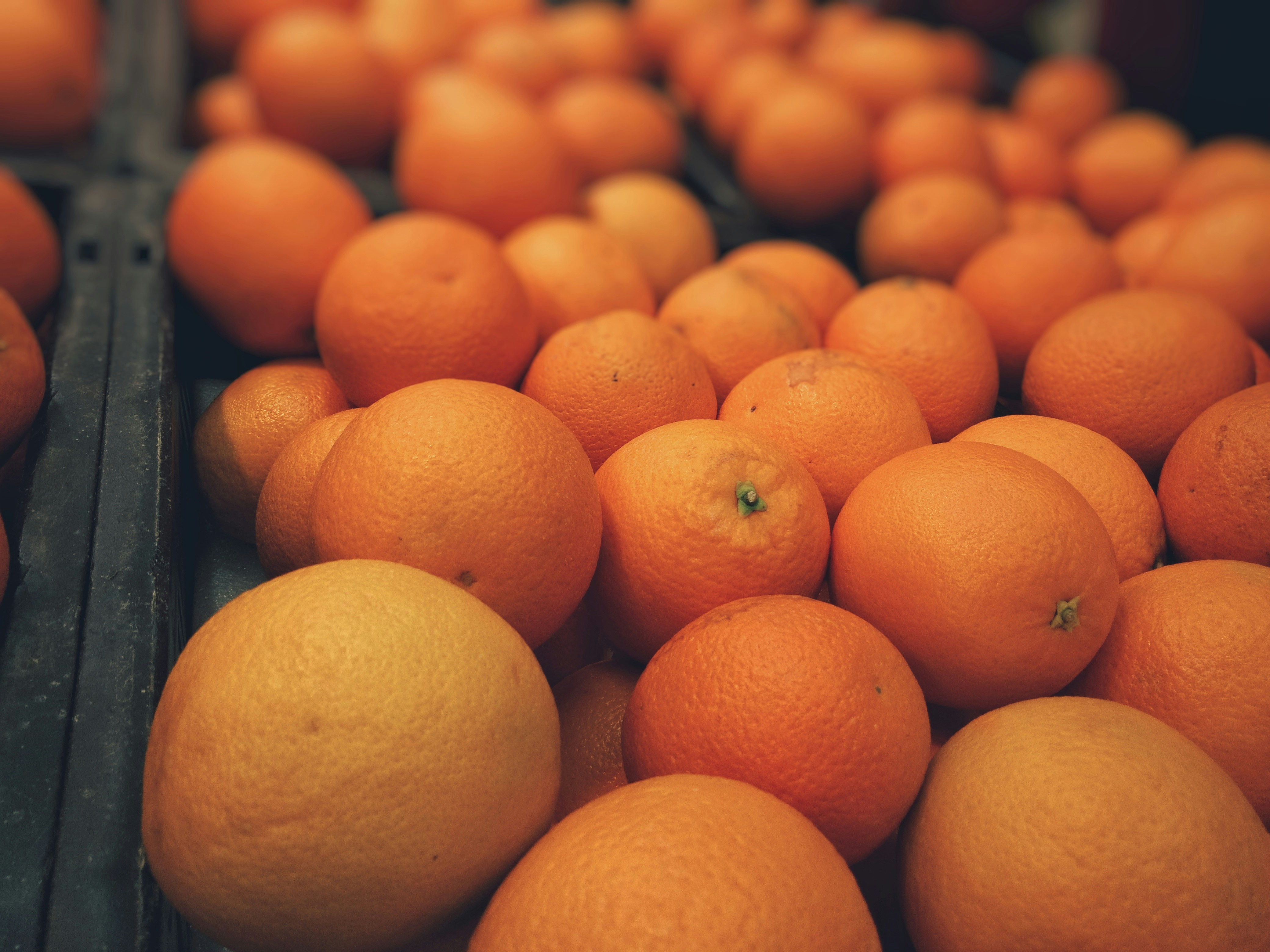 Free Unsplash photo from Aravind  Anilkumar