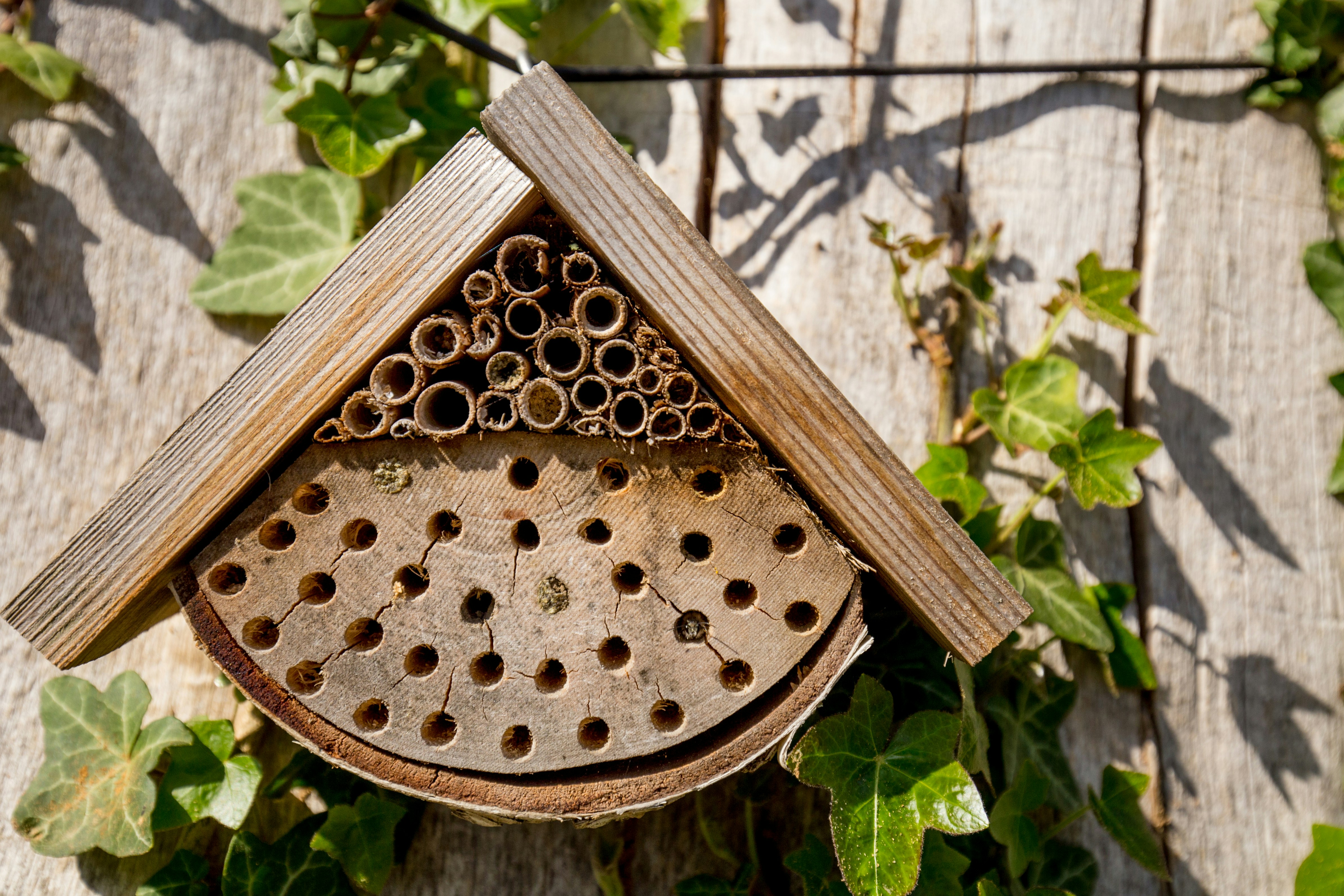 Free Unsplash photo from Simon Stankowski