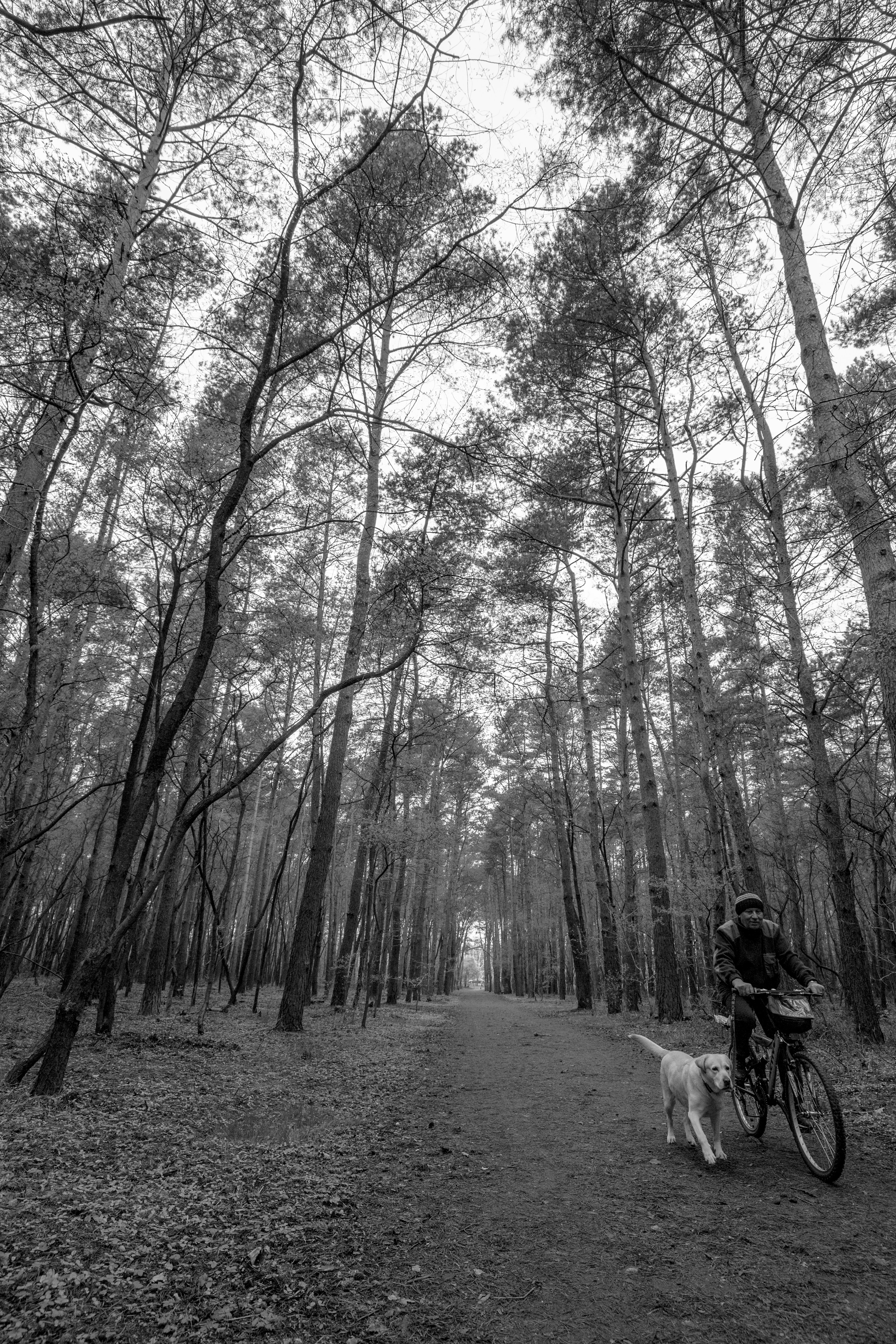 Free Unsplash photo from Simon Stankowski