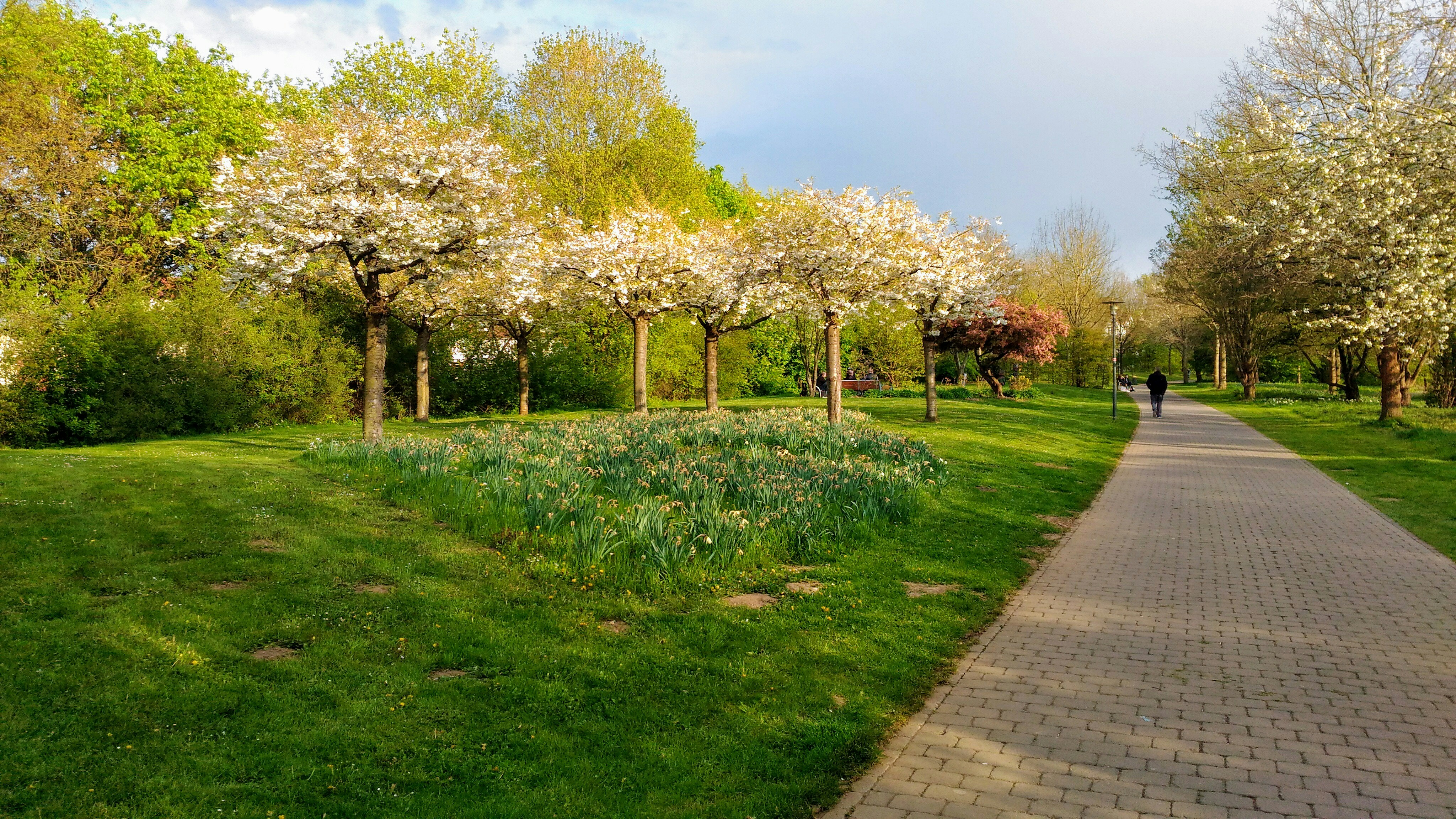 Free Unsplash photo from Touhidur Rahman