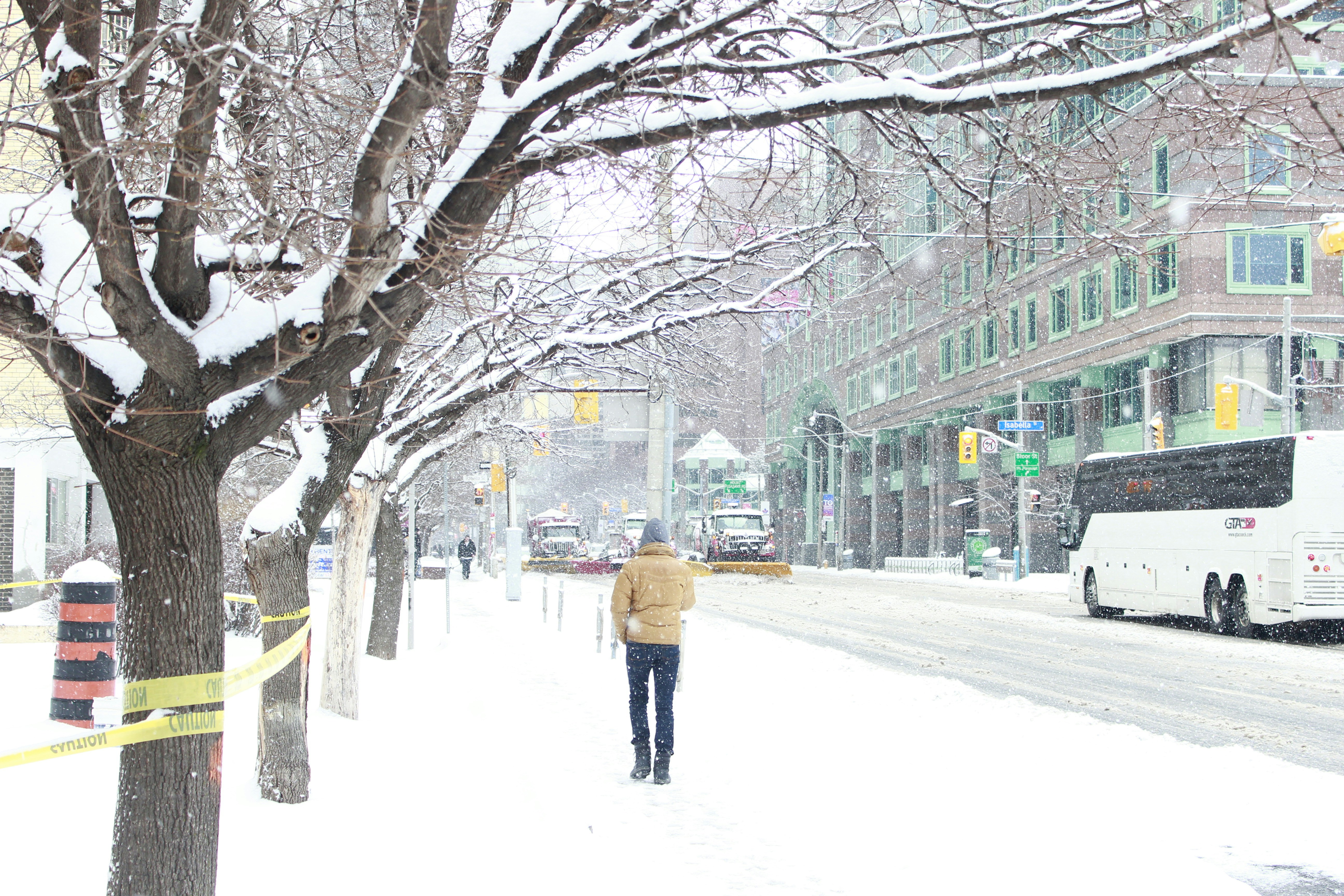 Free Unsplash photo from DEEPAK KUMAR