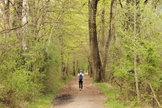 A person walking on a path surrounded by nature, symbolizing a fresh start.
