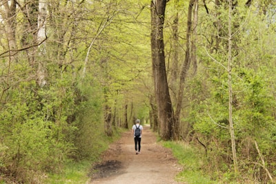 A person walking on a path surrounded by nature, symbolizing a fresh start.