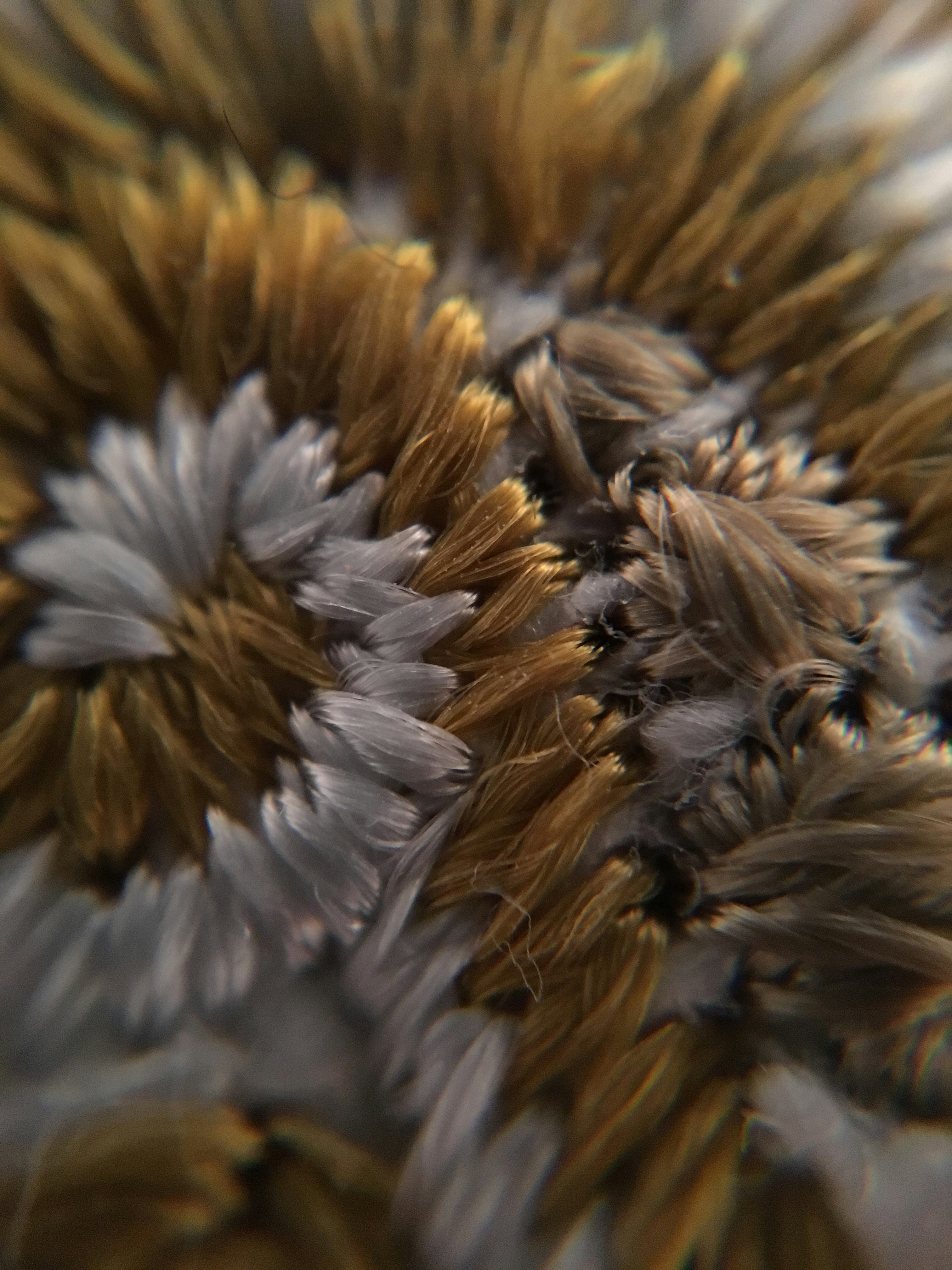 Free Unsplash photo from Mohammed Louati