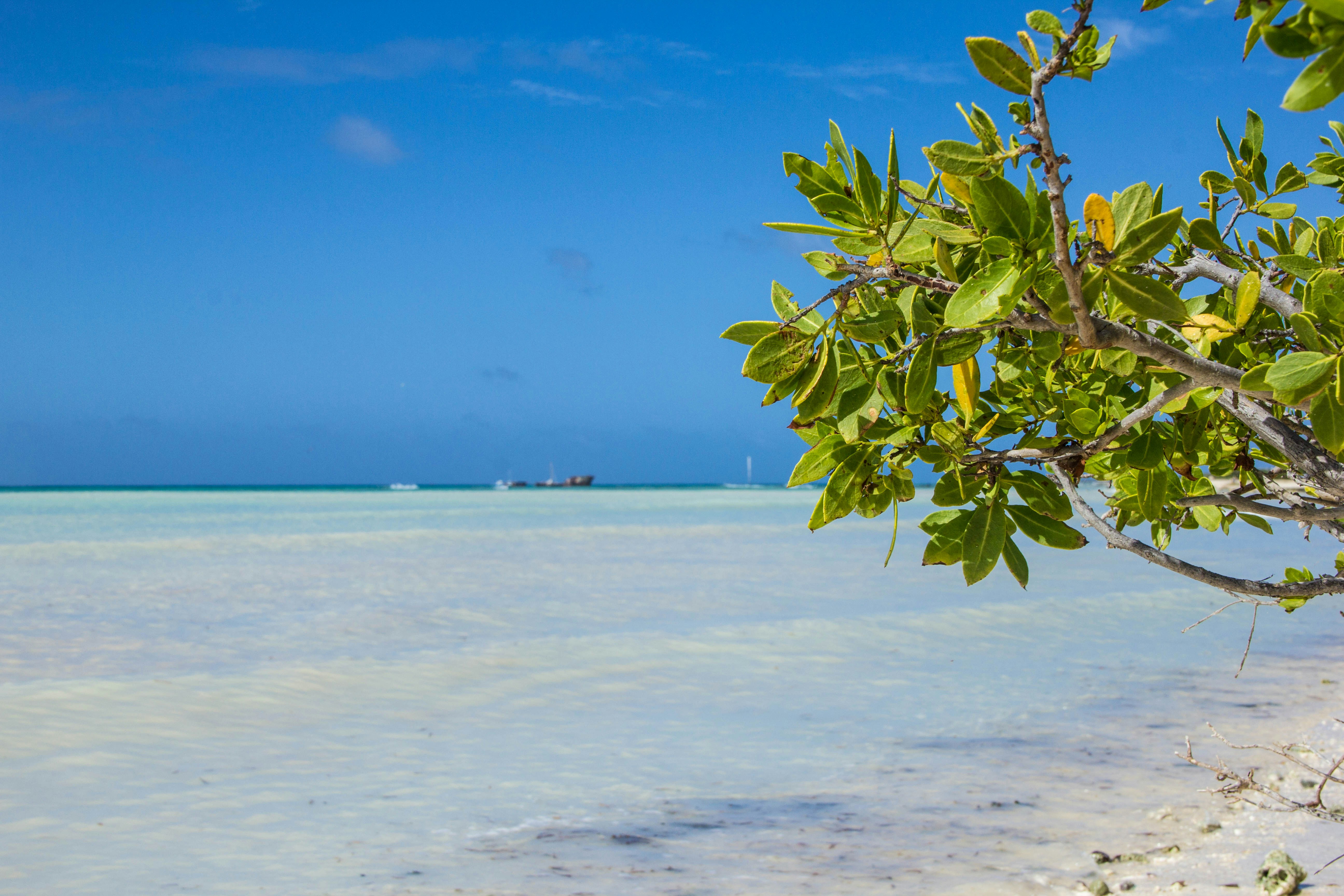 Free Unsplash photo from Abner Valero