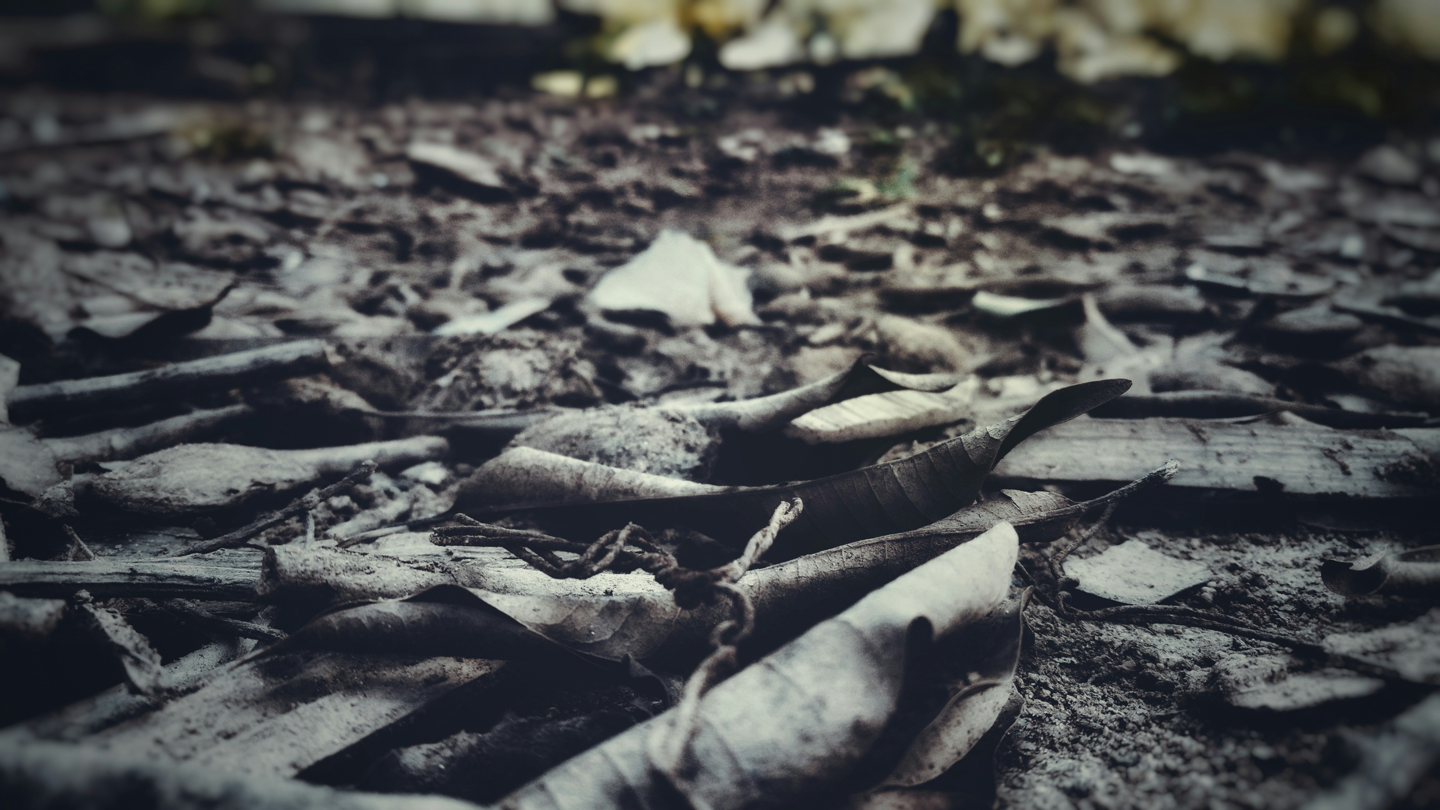 Free Unsplash photo from Léo WG