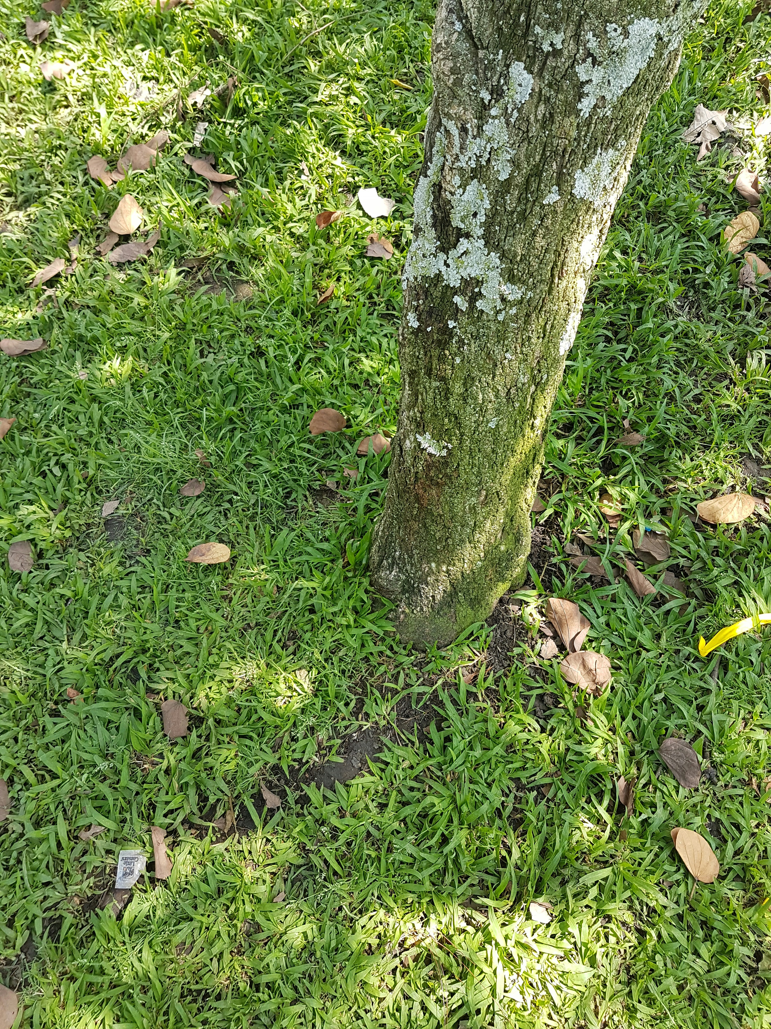 Free Unsplash photo from José Cabrera