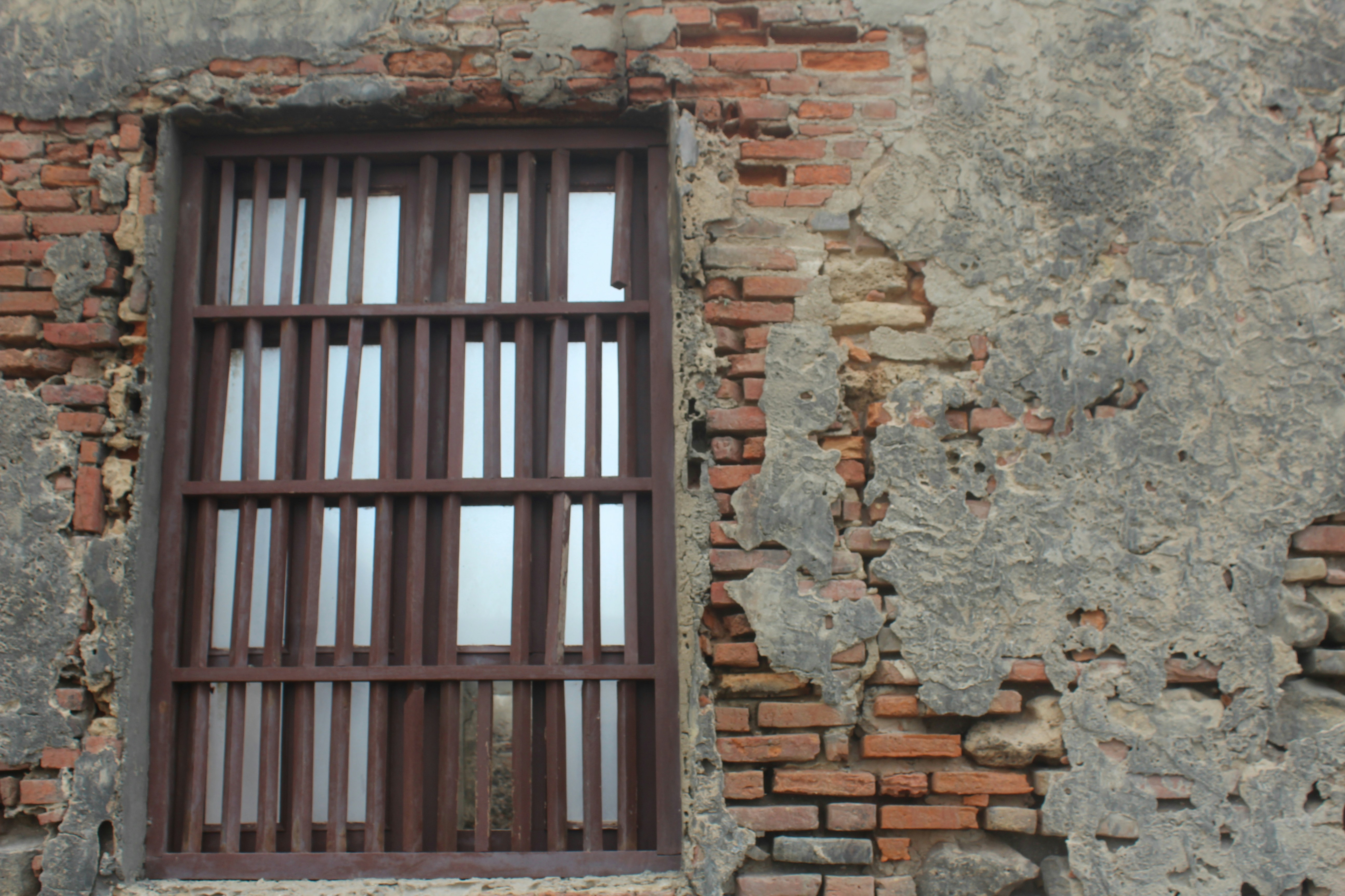 Free Unsplash photo from luis palacio